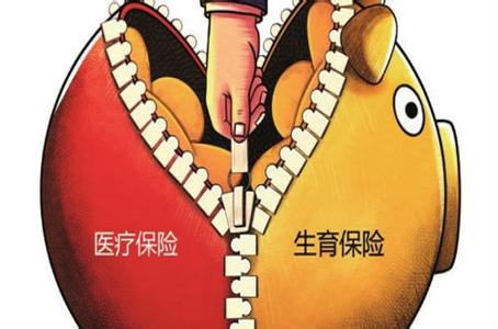 12市试点生育保险纳入2017医保征缴