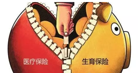 生育、医疗保险合并实施试点