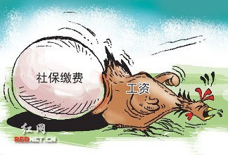 公司缴纳的社保，还不如换成现金给我合适，这样真的对吗？